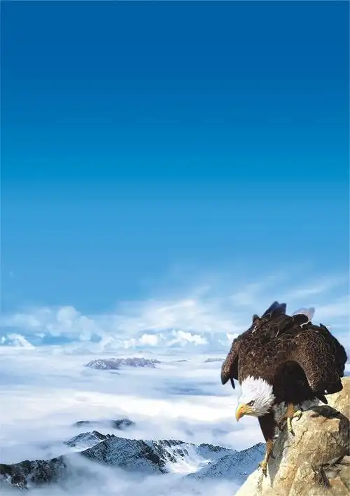 太空铝是什么材质